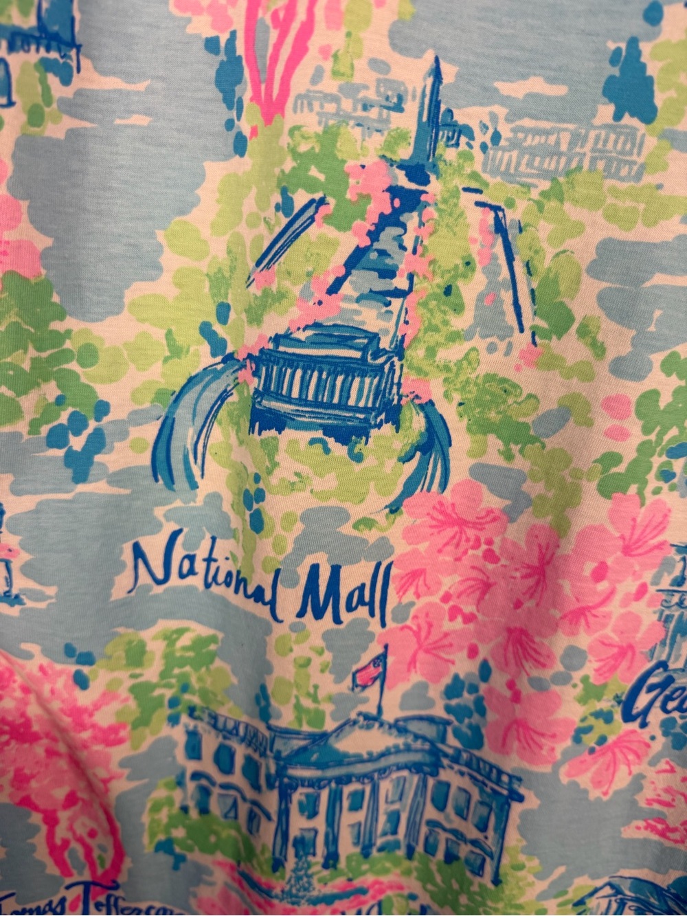 Lilly Pulitzer Lilly Loves DC Kristen Swing Dress Small Blue & Pink - Picture 7 of 9